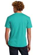 Next Level ™  Unisex CVC Tee. NL6210