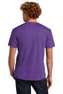 Next Level ™  Unisex CVC Tee. NL6210
