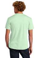 Next Level ™  Unisex CVC Tee. NL6210
